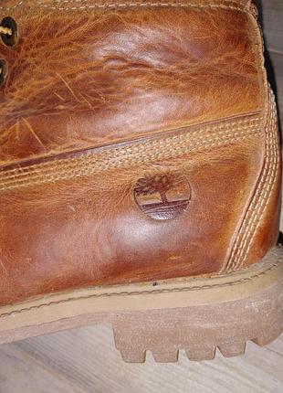 Черевики timberland 7