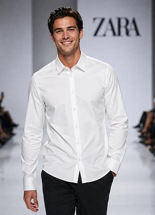 Сорочка чоловіча zara біла l бавовна