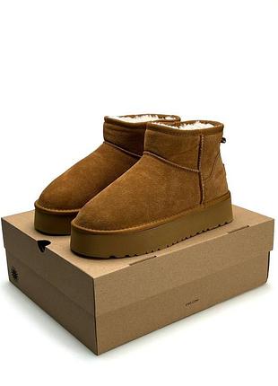 Женские зимние угги ugg classic mini platform cinnamon fur
