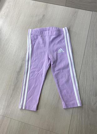 Лосіни adidas