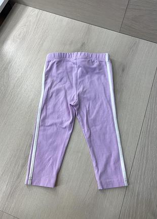 Лосіни adidas 4