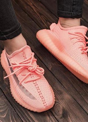 Жіночі кросівки adidas yeezy boost 350 v2 рожеві