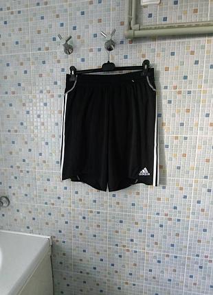 Шорты adidas.