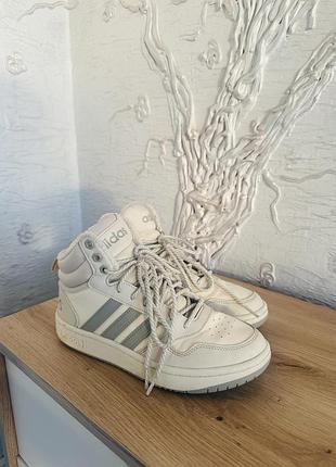 Кросівки кеди adidas hoops 3.0 mid w wtr