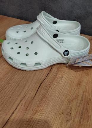 Сабо жіночі crocs/крокси/кроксы/клогі/клоги