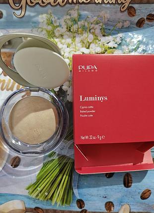 05 amberlight pupa luminys silky baked face powder , 9 г
пудра запеченная. оригинал!