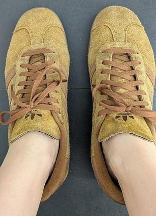 Бежеві кеди adidas spezial