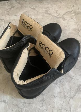 Ботинки ecco expression мужские спортивные, кроссовки кожаные зимние