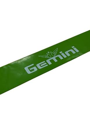 Гума для ніг gemini зелена 5кг ggr-03
