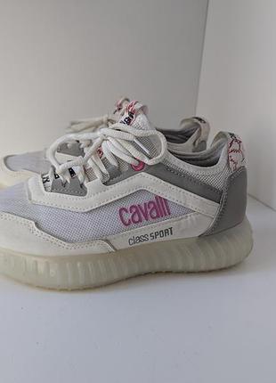Кросівки cavalli