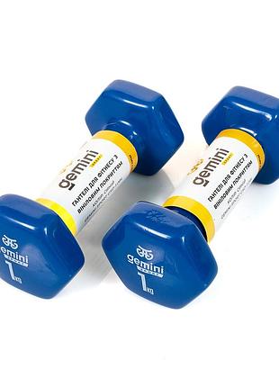 Гантели для фитнеса gemini 2шт. × 1 кг, с виниловым покрытием, синие, пара, gsd-1.0bl