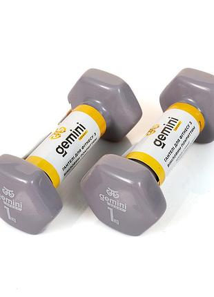 Гантелі для фітнесу gemini 2шт. × 1 кг, з вініловим покриттям, сірі, пара, gsd-1.0gray
