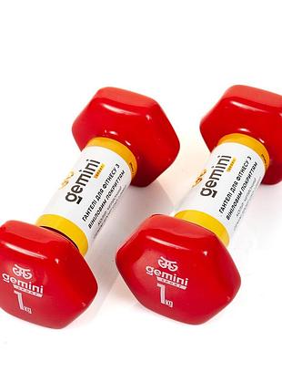 Гантели для фитнеса gemini 2шт. × 1 кг, с виниловым покрытием, красные, пара, gsd-1.0red