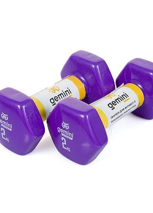 Гантели для фитнеса gemini 2шт. × 2 кг, с виниловым покрытием, фиолетовые, пара, gsd-2.0pur