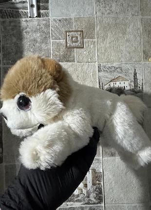 М'яка іграшка померанський  шпіц або цуценя моделі cuddle puppy