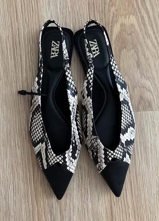 Туфлі zara