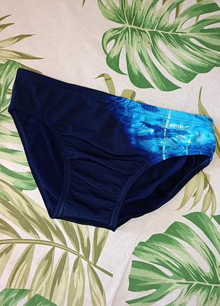Мужские плавки speedo