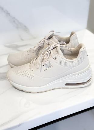 Кросівки skechers pp 37