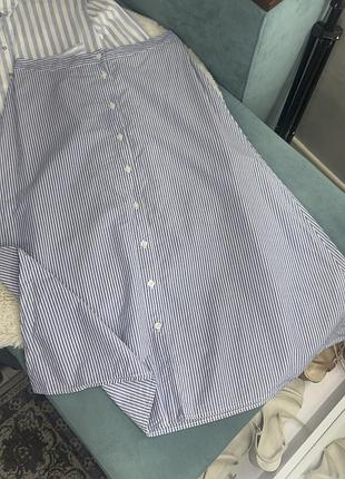 Спідниця в синю смужку бавовна міді warehouse жіноча м