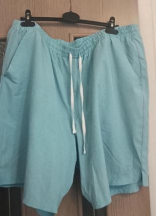 Шорты большого размера