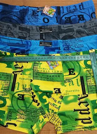 Трусы боксеры лобвичи, р.xxl. хлопок-30%,бамбук-65%, очень мягкокi, приемные к тиллу, яркие цвета.