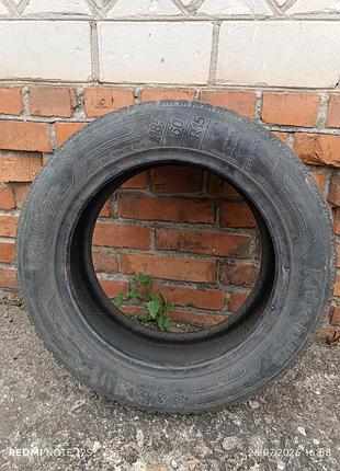 Шини зимові
