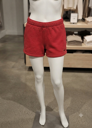 Яркие женские шорты hollister