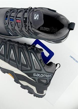 Чоловічі кросівки salomon speedcross pro thinsulate grey beige 2