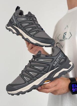 Чоловічі кросівки salomon speedcross pro thinsulate grey beige 5