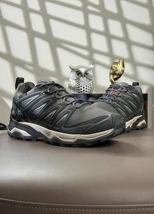 Чоловічі кросівки salomon speedcross pro thinsulate grey beige 9