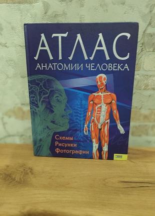 Книга атлас анатомії людини (схеми, малюнки, фотографії), тверда обкладинка