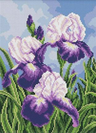 Алмазная мозаика - ирисы на открытом воздухе ©art_selena_ua