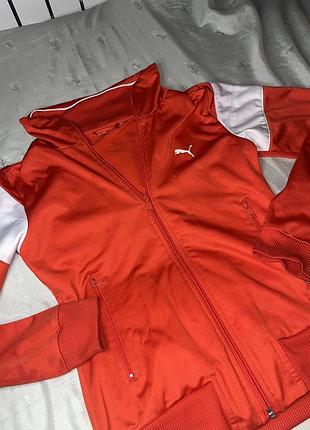 Червона зіпка puma 2