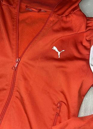 Червона зіпка puma 3