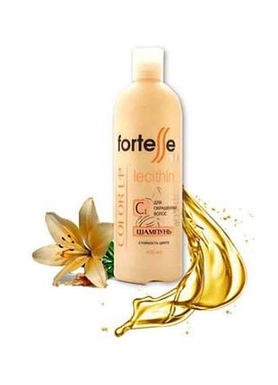 Шампунь fortesse 400 мл стойкость цвета/color up тм acme professional