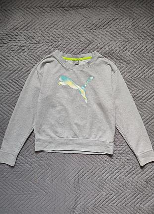 Спортивна кофта, світшот puma