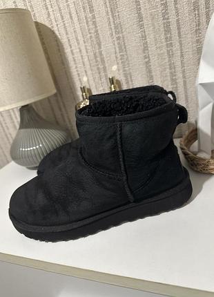 Ugg  черевики