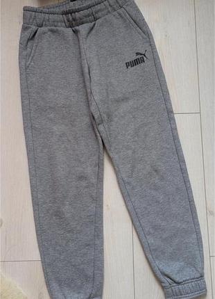 Спортивні утеплені штани puma