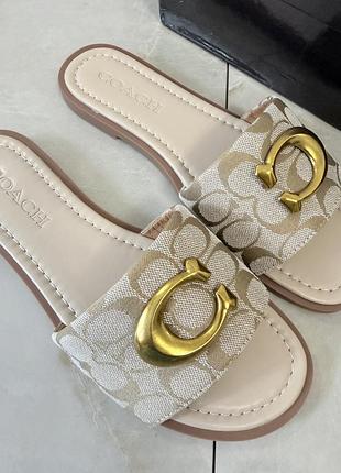 Шльопанці coach 6