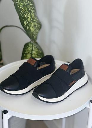 Кросівки clarks