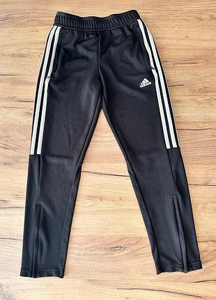 Штаны спортивные adidas 9-10р