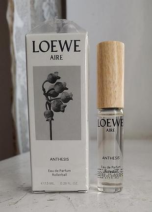 Loewe aire, anthesis, миниатюра
