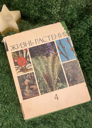 Книга енциклопедія том 4 «життя рослин» мохи, плауни, хвощі, папороті, голонасінні рослини. 1978 р. (н7055)  четвертий том шеститомної енциклопедії «ж