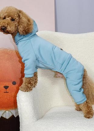 Костюм dogs bomba з кишенею бірюзовий d-226
