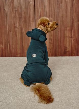 Костюм dogs bomba з кишенею смарагд d-141