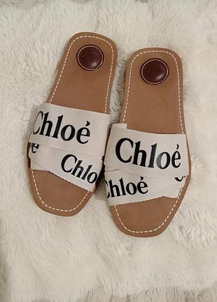 Трендовые шлепанцы chloé