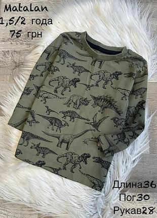 Реглан 1,5/2 роки