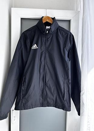 Вітрівка adidas
