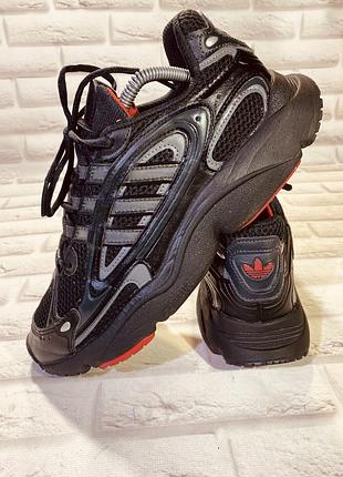 Кросівки adidas 7