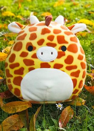 Игрушка-сквиш антистресс подушка squishmallows жираф гарри 19 см